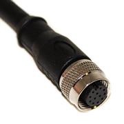 Cordset, 12-Position Female Straight-Open End, 26 AWG, 20M