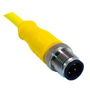 M12 Cordset, 3-Position Male Straight to Open End, 18 AWG