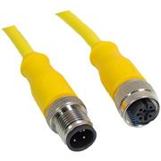 M12 Cord, 3-Position Male Straight to Female Straight, 18AWG