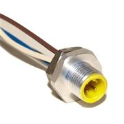M12 Receptacle, 4-Position Male Straight to Open End, 18 AWG
